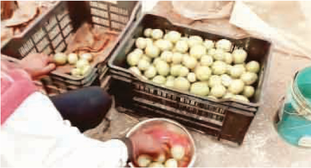 टमाटर बाजार